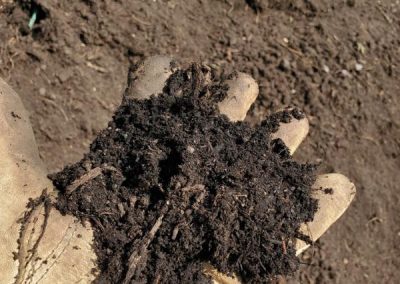 closeup of Nexterra Inc's grinded nursery green waste