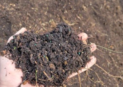 closeup of Nexterra Inc's grinded nursery green waste